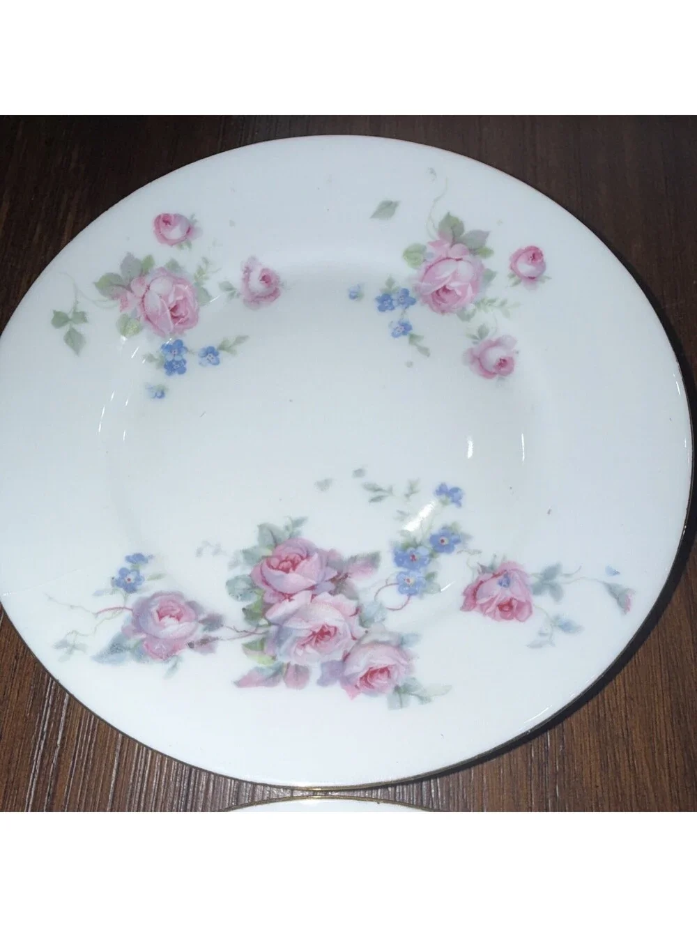 Bavaria Porcelain Dinner Plates Set of 4, White Floral Rose Pattern